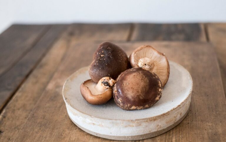 shiitake